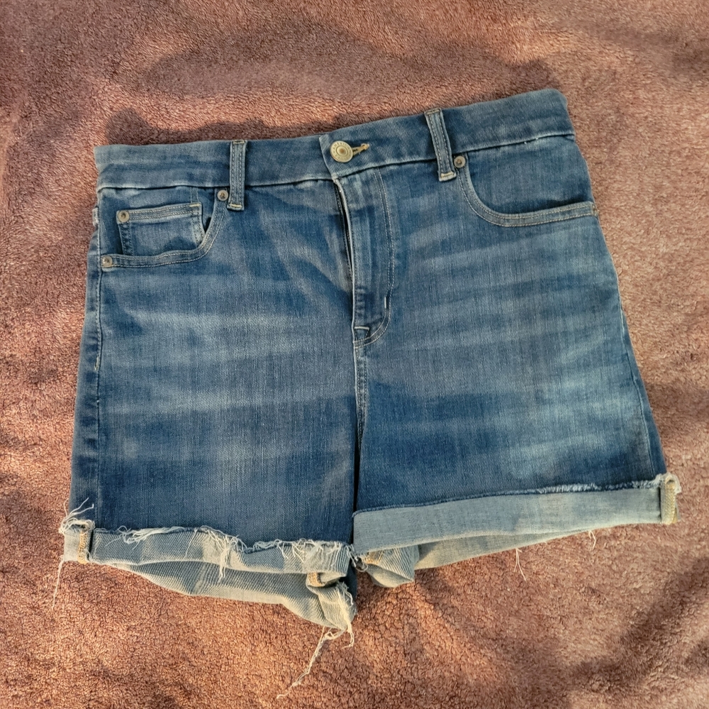 American Eagle Curvy Denim Short